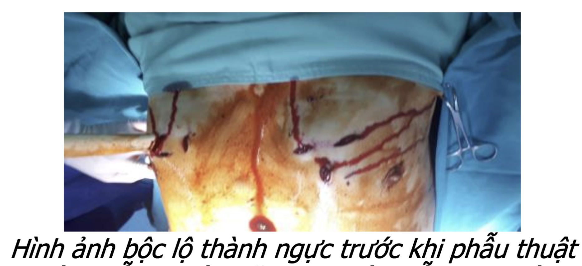 Screenshot 2026-02-25 at 10.10.45.png