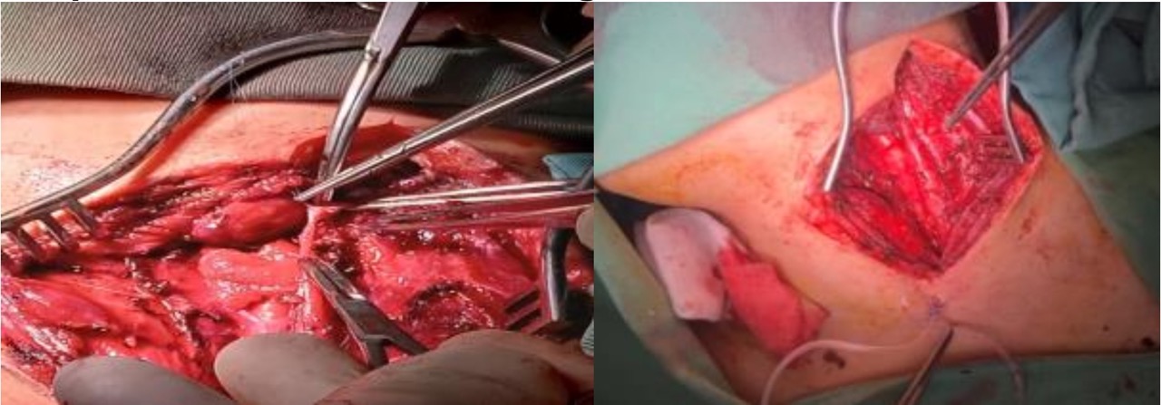 Screenshot 2026-03-04 at 17.29.49 Large.jpeg