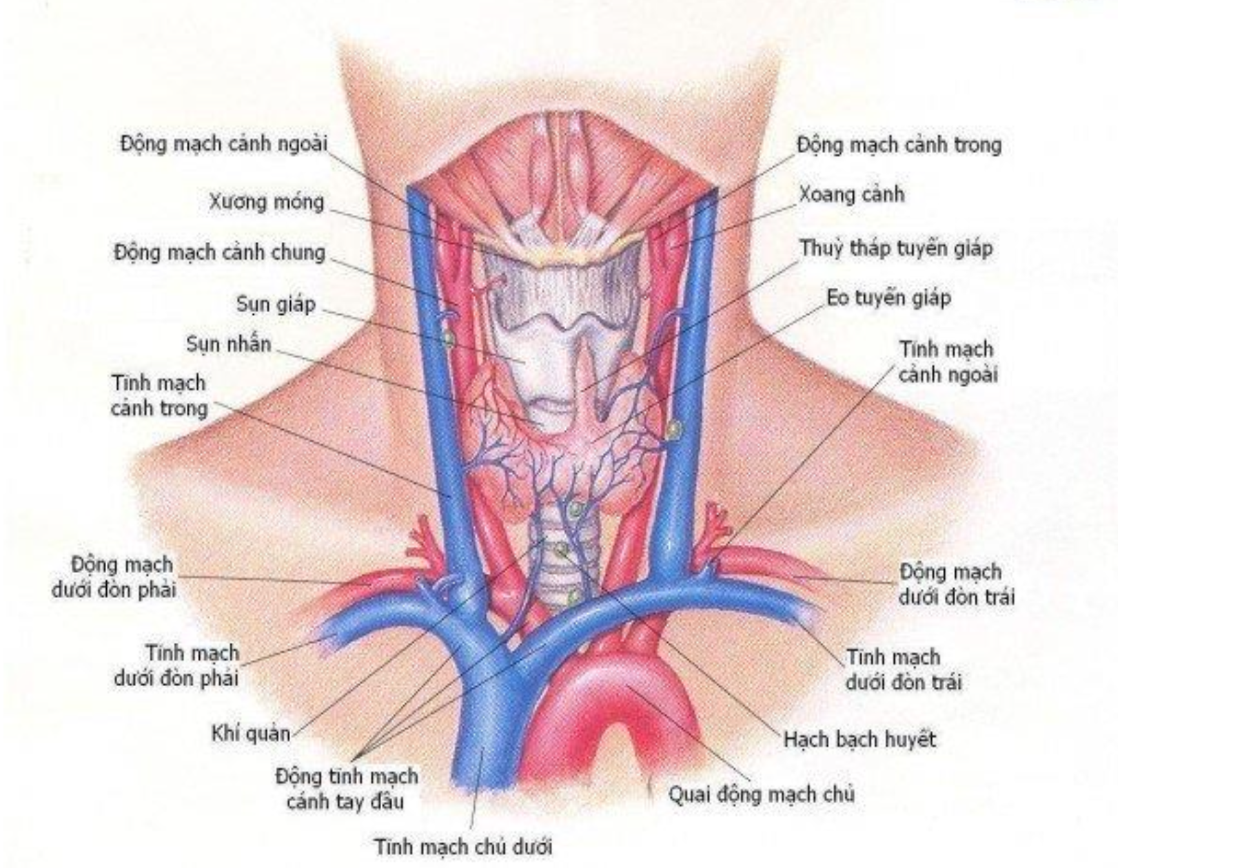 Screenshot 2026-03-04 at 17.30.03.png