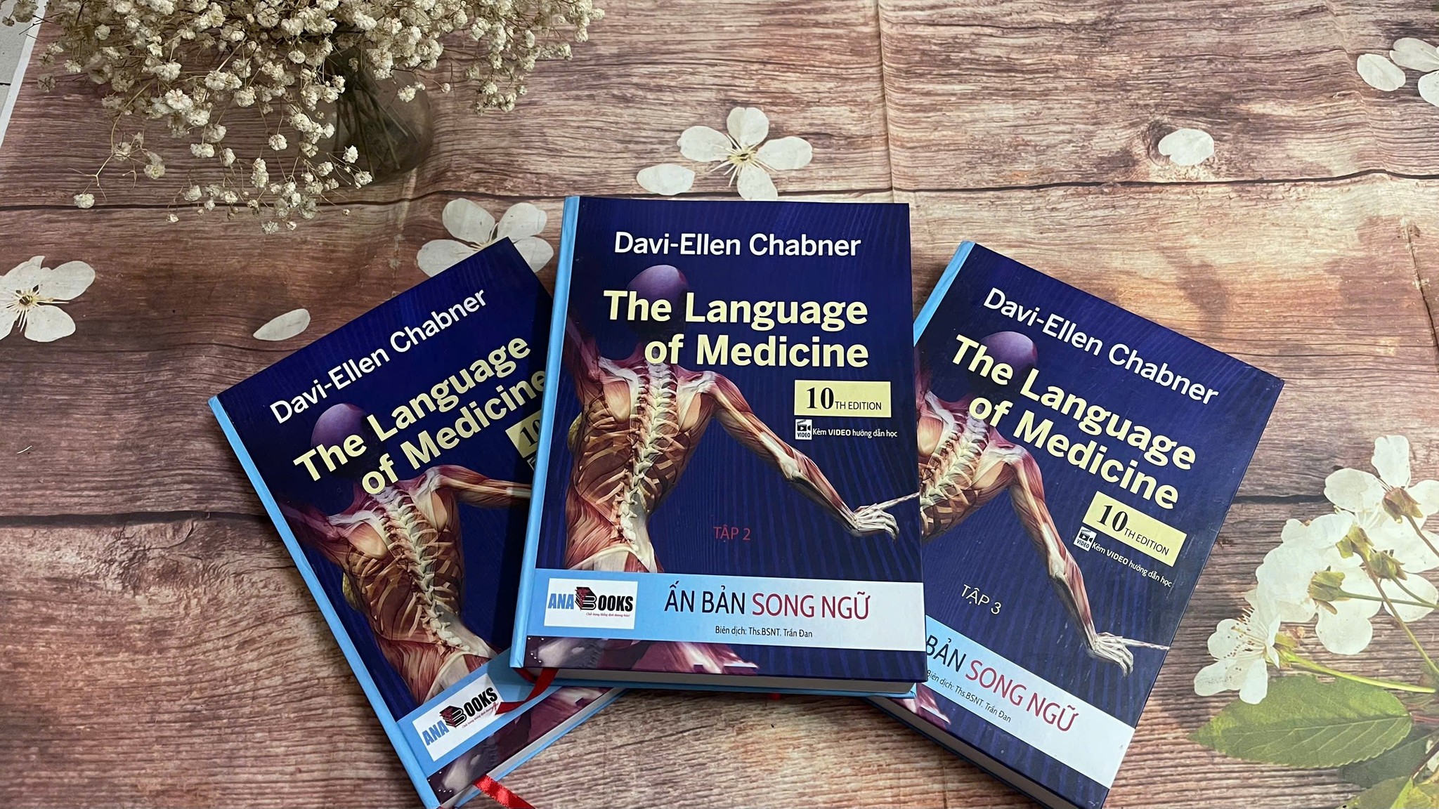 The Language Of Medicine.jpg