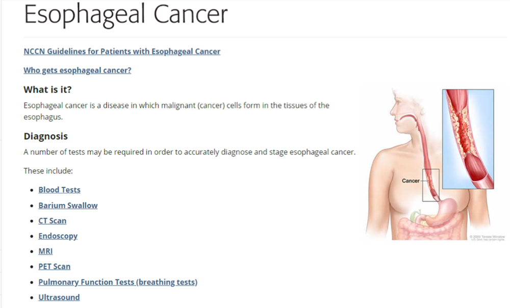 K thực quan - 8.png