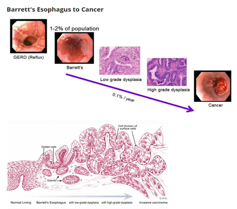 K thực quan - 9.png