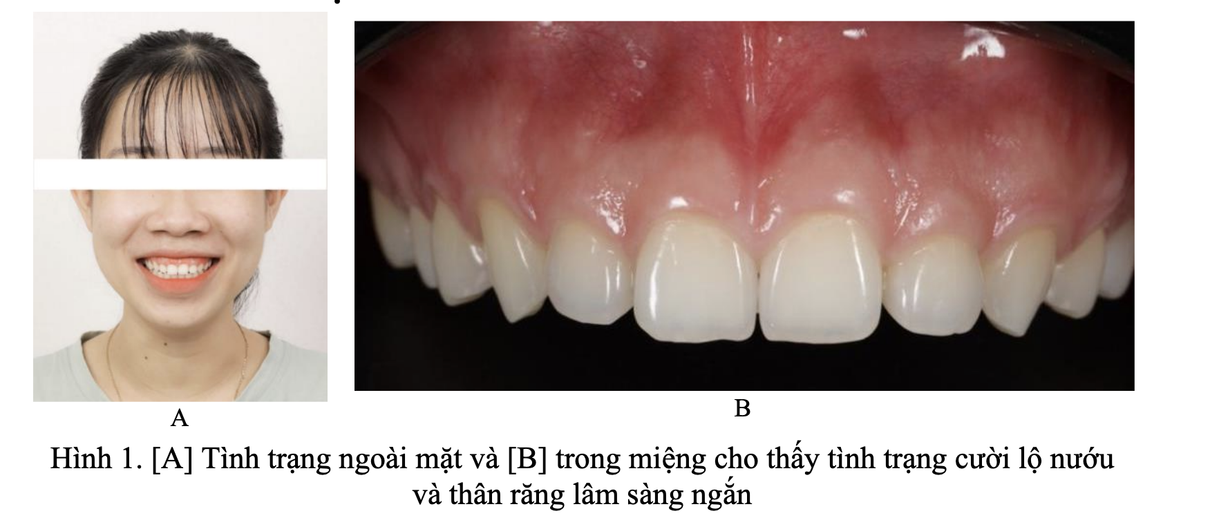 Screenshot 2026-03-12 at 16.41.54.png