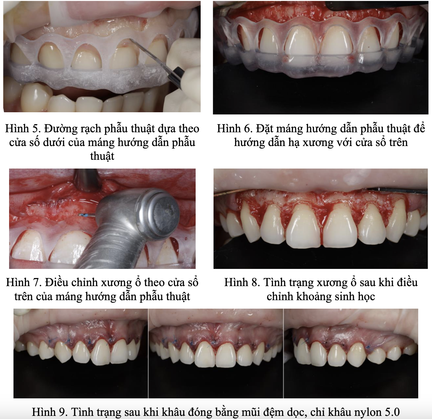 Screenshot 2026-03-12 at 17.04.30.png