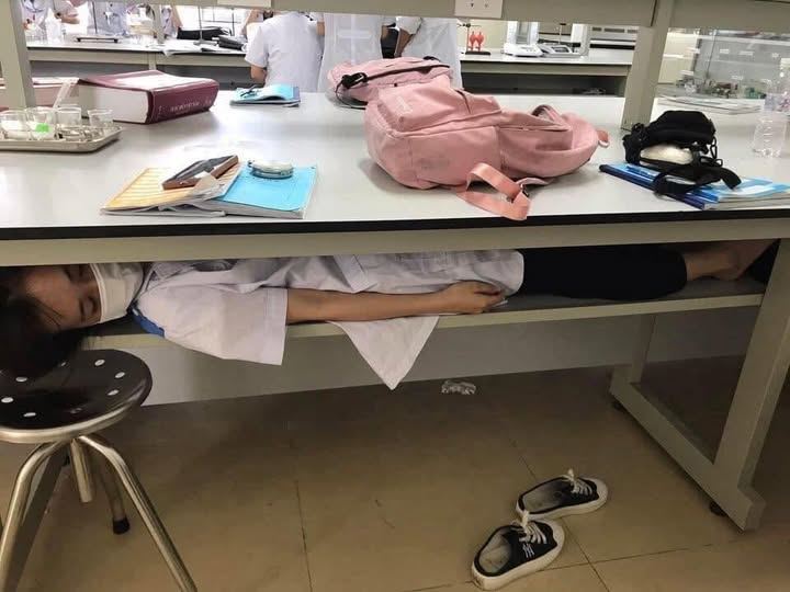 Những giấc ngủ ngắn của sinh viên điều dưỡng