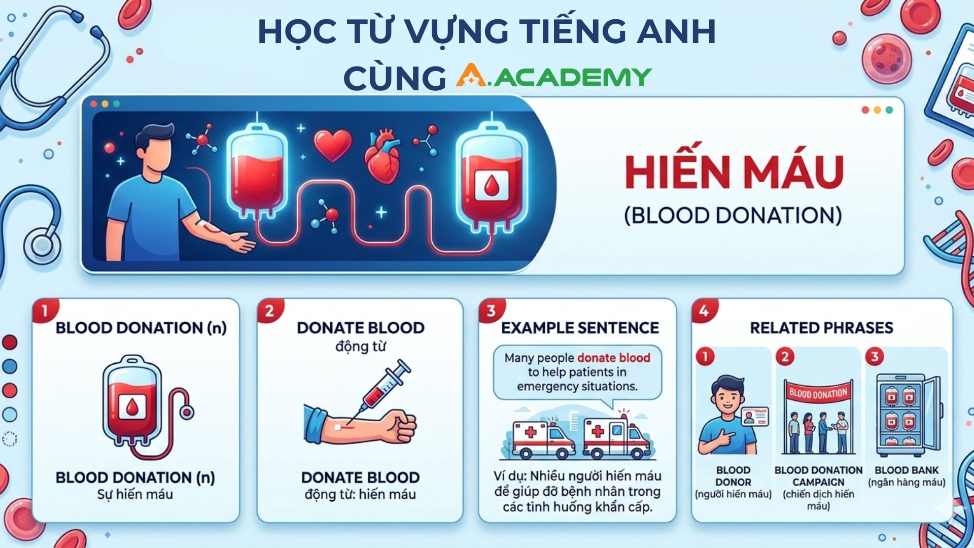 TỪ VỰNG BLOOD DONATION.jpg