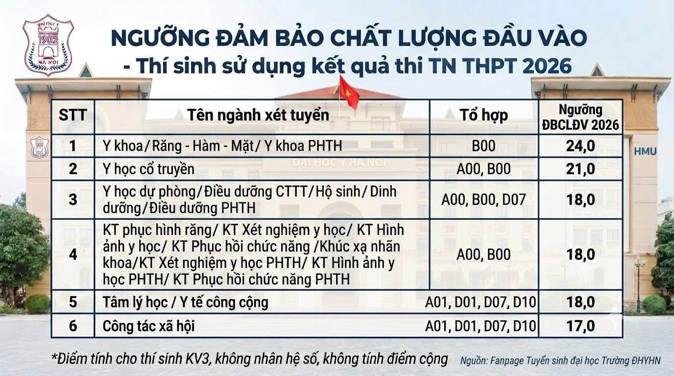 YHN 1.jpg