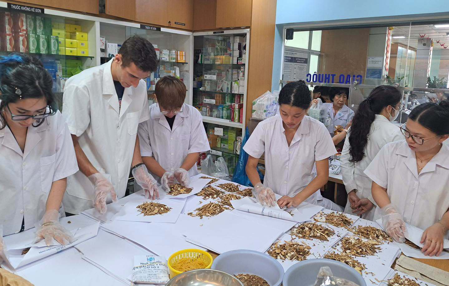 Sinh viên Mỹ tham gia chương trình trao đổi về y học cổ truyền tại ĐH Y Dược TPHCM